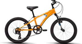 Top 10 Best giant kids mountain bikes On The Market Today
